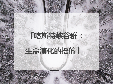 喀斯特峡谷群：生命演化的摇篮