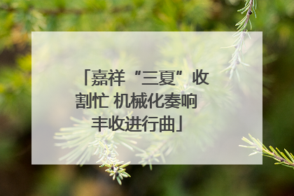 嘉祥“三夏”收割忙 机械化奏响丰收进行曲