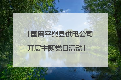 国网平舆县供电公司开展主题党日活动