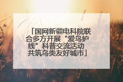 国网新疆电科院联合多方开展“爱鸟护线”科普交流活动 共筑鸟类友好城市