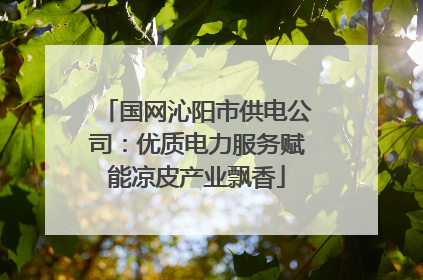 国网沁阳市供电公司：优质电力服务赋能凉皮产业飘香
