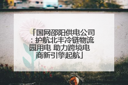 国网邵阳供电公司：护航北丰冷链物流园用电 助力跨境电商新引擎起航