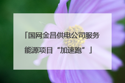 国网金昌供电公司服务能源项目“加速跑”