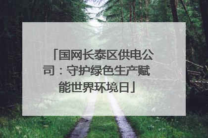 国网长泰区供电公司：守护绿色生产赋能世界环境日