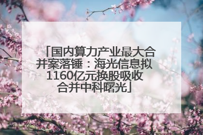 国内算力产业最大合并案落锤：海光信息拟1160亿元换股吸收合并中科曙光