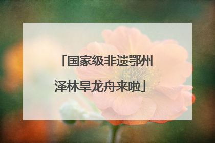 国家级非遗鄂州泽林旱龙舟来啦