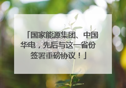 国家能源集团、中国华电，先后与这一省份签署重磅协议！