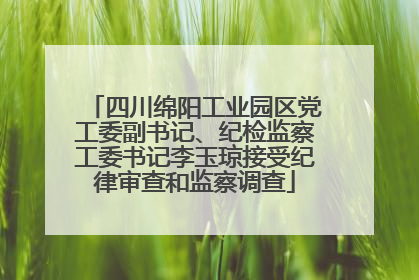 四川绵阳工业园区党工委副书记、纪检监察工委书记李玉琼接受纪律审查和监察调查