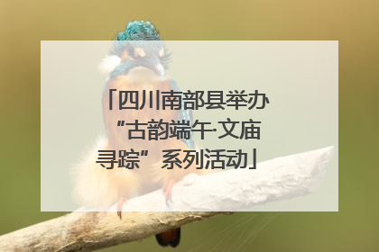 四川南部县举办“古韵端午·文庙寻踪”系列活动
