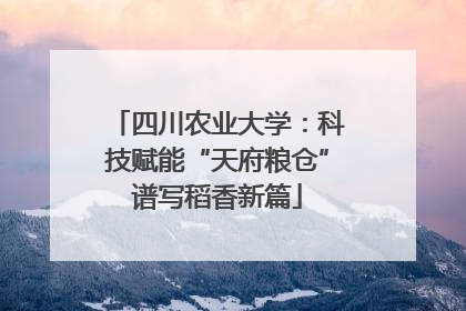 四川农业大学：科技赋能“天府粮仓”谱写稻香新篇