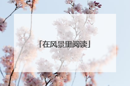 在风景里阅读