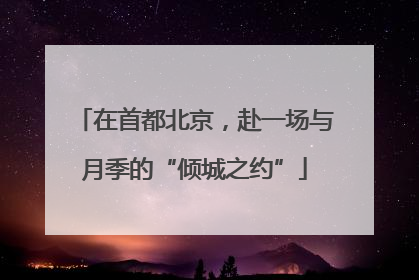 在首都北京，赴一场与月季的“倾城之约”