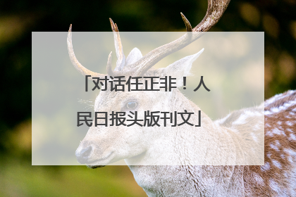 对话任正非！人民日报头版刊文