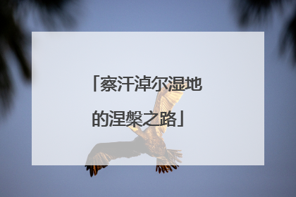 察汗淖尔湿地的涅槃之路
