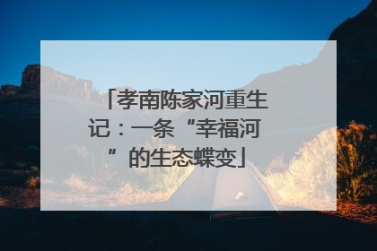 孝南陈家河重生记：一条“幸福河”的生态蝶变