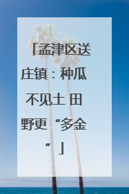孟津区送庄镇：种瓜不见土 田野更“多金”