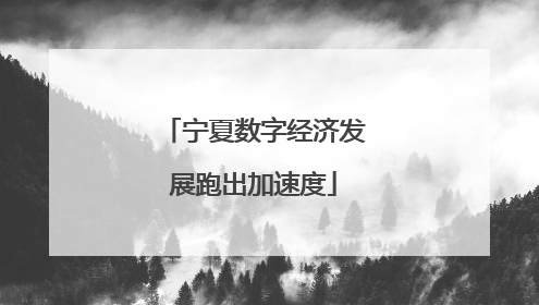 宁夏数字经济发展跑出加速度