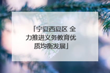 宁夏西夏区 全力推进义务教育优质均衡发展