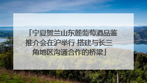 宁夏贺兰山东麓葡萄酒品鉴推介会在沪举行 搭建与长三角地区沟通合作的桥梁