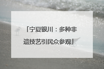 宁夏银川：多种非遗技艺引民众参观