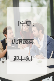 宁夏：供港蔬菜迎丰收