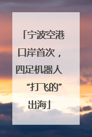宁波空港口岸首次，四足机器人“打飞的”出海