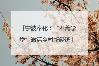 宁波奉化：“奉菁学堂”激活乡村新经济
