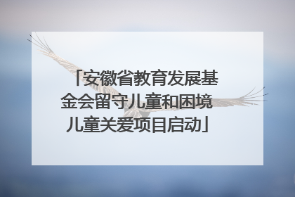 安徽省教育发展基金会留守儿童和困境儿童关爱项目启动
