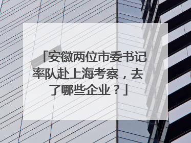 安徽两位市委书记率队赴上海考察，去了哪些企业？