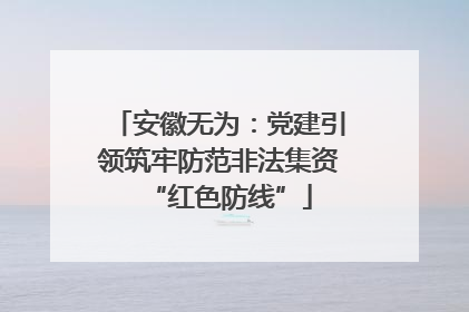 安徽无为：党建引领筑牢防范非法集资“红色防线”
