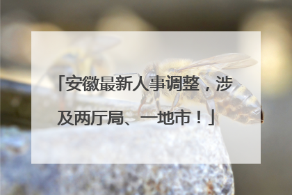 安徽最新人事调整，涉及两厅局、一地市！