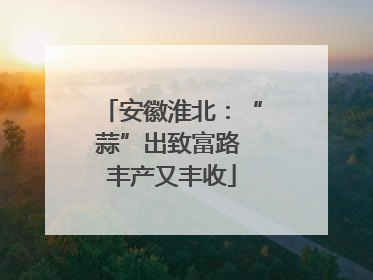 安徽淮北：“蒜”出致富路 丰产又丰收
