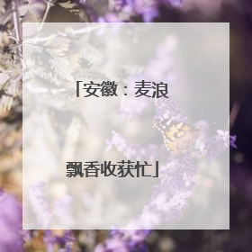 安徽：麦浪飘香收获忙