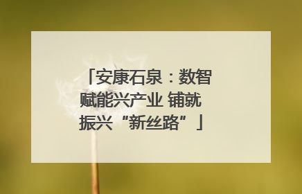 安康石泉：数智赋能兴产业 铺就振兴“新丝路”