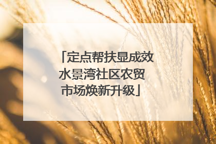 定点帮扶显成效 水景湾社区农贸市场焕新升级