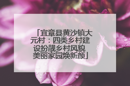 宜章县黄沙镇大元村：四类乡村建设扮靓乡村风貌 美丽家园焕新颜