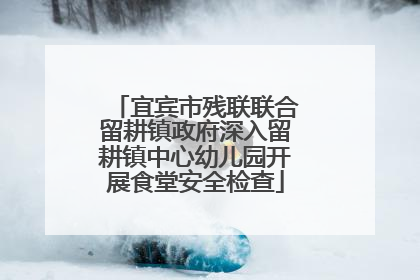 宜宾市残联联合留耕镇政府深入留耕镇中心幼儿园开展食堂安全检查