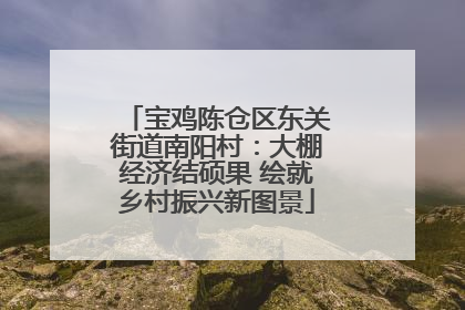 宝鸡陈仓区东关街道南阳村：大棚经济结硕果 绘就乡村振兴新图景