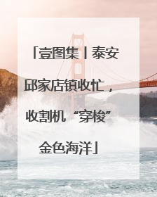 壹图集丨泰安邱家店镇收忙，收割机“穿梭”金色海洋