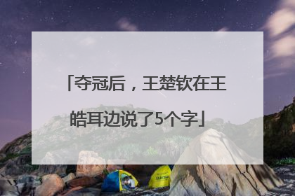 夺冠后，王楚钦在王皓耳边说了5个字