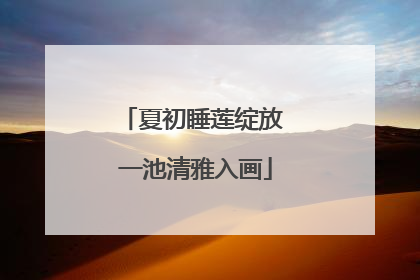 夏初睡莲绽放 一池清雅入画