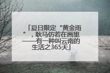 夏日限定“黄金雨”，耿马仿若在画里——有一种叫云南的生活之365天