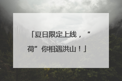 夏日限定上线，“荷”你相遇洪山！
