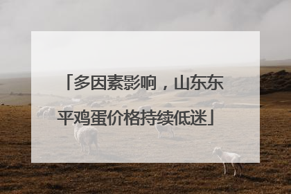 多因素影响，山东东平鸡蛋价格持续低迷