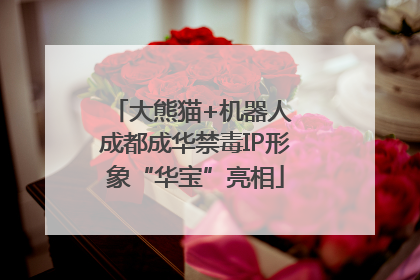 大熊猫+机器人 成都成华禁毒IP形象“华宝”亮相
