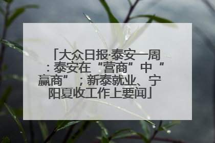 大众日报·泰安一周：泰安在“营商”中“赢商”；新泰就业、宁阳夏收工作上要闻