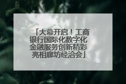大幕开启！工商银行国际化数字化金融服务创新精彩亮相廊坊经洽会