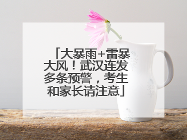 大暴雨+雷暴大风！武汉连发多条预警，考生和家长请注意