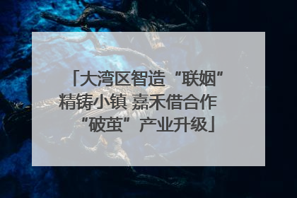 大湾区智造“联姻”精铸小镇 嘉禾借合作“破茧”产业升级