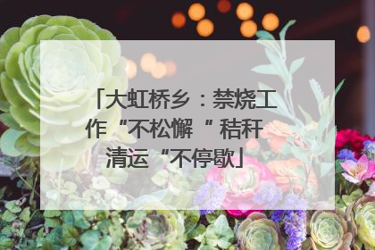 大虹桥乡：禁烧工作“不松懈“ 秸秆清运“不停歇